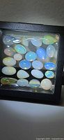Front view of display box containing 22 opal cabochons