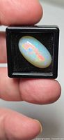 Front view of oval Ethiopian opal cabochon in black display case