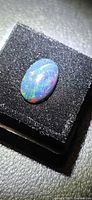 Oval black opal cab on foam pad showing multicolour play