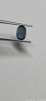 Front view of oval blue-green sapphire held by tweezers