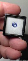 Oval cornflower blue sapphire in gem box, top view