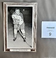 Front view of Beehive Ralph Backstrom photo