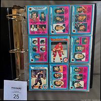 Nine-card binder page displaying various 1979-80 O-Pee-Chee hockey cards