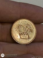 Reverse of 2000 Canada Fireworks quarter
