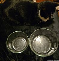 Pair of clear glass mixing bowls shown from top with reference cat