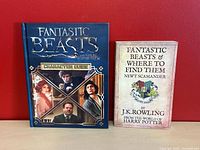 Front covers of both books standing upright