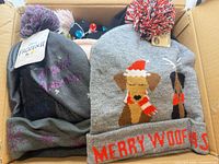 Box containing several knit hats including Disney Frozen II beanie and Merry Woofmas dog beanie
