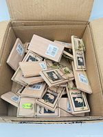 Box containing multiple Toolway ProYard wooden mouse traps