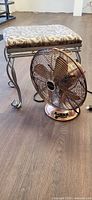 Footstool and fan together showing size relation