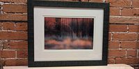 Full view of framed sunset forest photograph against brick wall