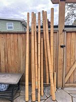 Eight long bamboo poles leaning against fence
