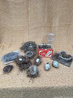 Group view of nests, eggs, flask and box