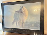 Full view of framed Arctic Wolf print