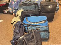 Group view of all eight bags showing sizes, colors and wheeled suitcase