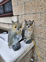 Front view of both owl decoys on snow-covered ledge