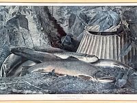 Close view of print content showing trout, creel and foliage
