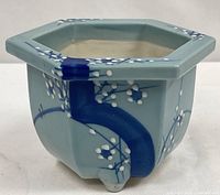 front view of hexagonal celadon bonsai pot showing blue stripe and white blossom design
