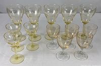 Group shot of all 13 glasses