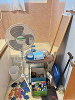 Overview showing fan, mirror, cane, shower seat, crate of items