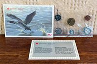 Overall view showing coins in sealed sleeve, loon envelope and year marked 1993
