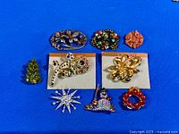 All ten brooches laid out on blue cloth