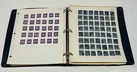 Open binder showing page with 48 purple definitives and opposite page with 48 blue cancelled stamps