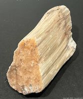 Front view of fibrous scolecite specimen showing radiating crystals and matrix