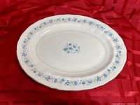 Full view of Paragon Malvern 14" oval serving platter