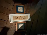 All three framed pressed flower pieces displayed