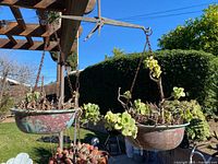 Full view of scale with both hanging planters and succulents outdoors