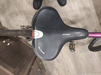 Close-up of Schwinn branded saddle