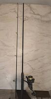 Full view of two-piece rod assembled with reel attached