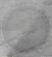 Single pressed glass plate showing embossed tree and scalloped rim