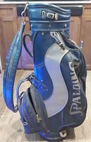 Blue and grey Spalding golf bag, side view