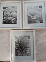 Front view of three framed prints showing images and frame color