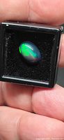 Opal in display case showing green flash on dark body