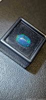 Oval cabochon black opal in display box, showing green and blue play-of-color