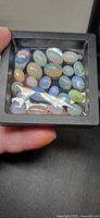 All 22 opal cabochons in plastic display case