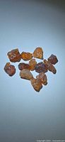 Group of eleven orange garnet crystals on light background