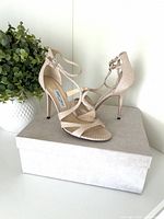 Full view pair of sandals on original box