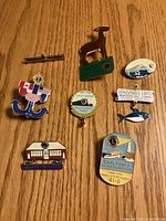 All eight Lions Club pins laid out on wooden surface