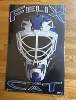 Front view of Felix Potvin poster, showing mask graphic and text