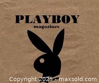 Generic Playboy magazines logo image