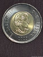 Obverse showing Queen Elizabeth II portrait, date 2022, dark outer ring