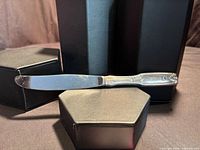 Full view of the butter knife showing blade and handle detailing