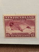 Front view of the 15¢ Newfoundland magenta stamp showing seal pup and denomination