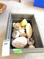 Overview of gray tote filled with assorted stones and shells