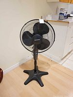 Full view of Honeywell black pedestal fan on star base