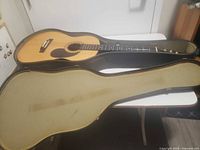 Full view of guitar resting in open case