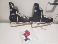 full view of both skates and accessory bag